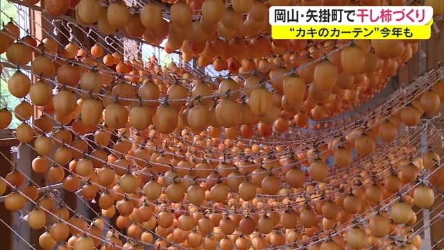  “オレンジ”のカーテンずらり　里山に実りの秋　１００年以上続く…干し柿の生産ピーク【岡山・矢掛町】