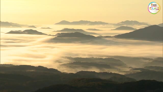 早朝の絶景！　高原一帯は霧の海に　蒜山高原に「雲海」【岡山・真庭市】