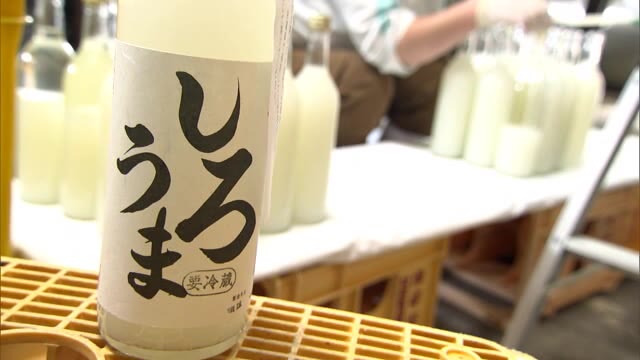 酒づくりに最適のシーズン到来　日本酒蔵元で「寒造り」始まる　夜明け前から手作業で…【岡山・赤磐市】