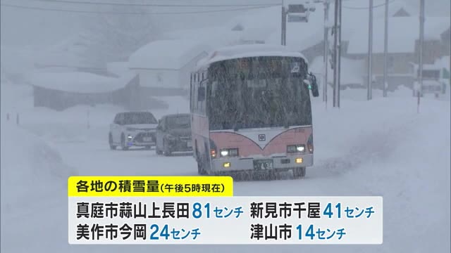 岡山県北部で大雪　津山市などでは雪による倒木などで停電発生…除雪作業中の事故に注意を【岡山】