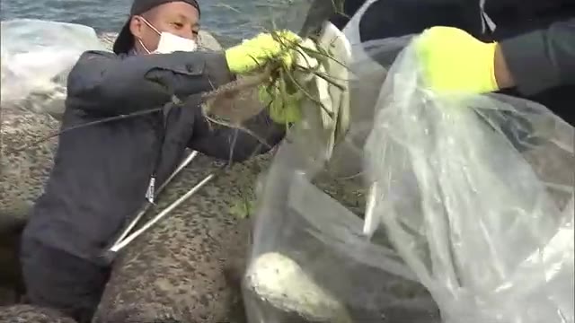環境意識を高めよう…高松市で産廃処理会社社員ら約１５０人が「海ごみ」拾いなどの清掃活動【香川】