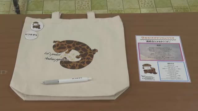 国の特別天然記念物「オオサンショウウオ」を守りたい…高校生がグッズ販売【岡山】