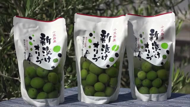 料理の付け合わせとしても人気！　小豆島の秋の味覚「オリーブの新漬け」製造が本格化【香川・小豆島町】