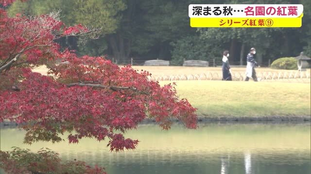 【シリーズ紅葉】日本三名園の『後楽園』…池のほとりで色づいた「モミジ」が秋を彩る【岡山・岡山市】