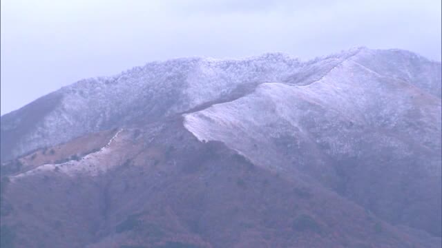 蒜山で初の“雪化粧” 未明にかけて雪　１センチほどの積雪も…今季一番の厳しい冷え込み【岡山・真庭市】