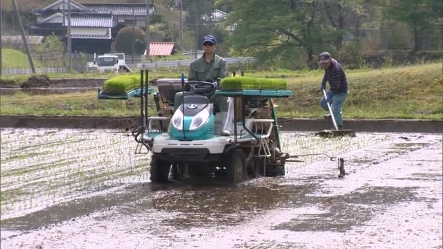 早場米の産地で田植えが始まる　８月下旬に収穫【岡山・西粟倉村】