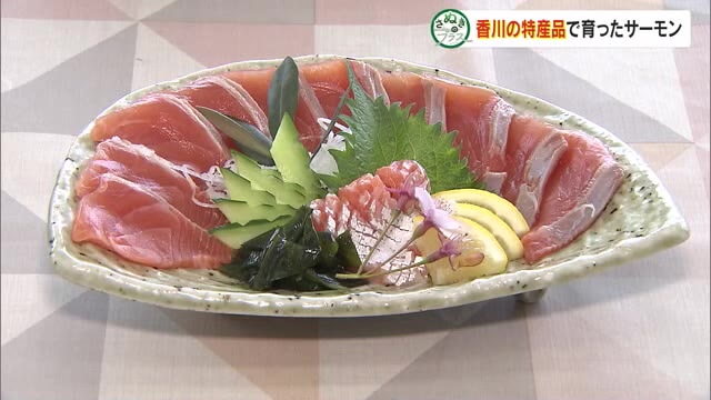香川県産ブランドにと期待！養殖魚の「オリーブシリーズ」サーモンが４月から登場【さぬきのプラス】