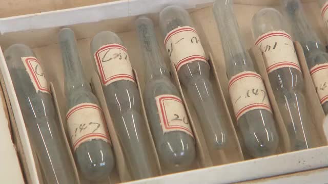 【独自】岡山・香川の療養所でも…ハンセン病療養所入所者を使った旧日本陸軍開発の薬の “人体実験” 