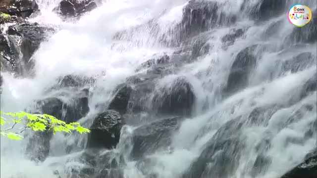 「この滝は癒しになる」涼を求めて…津山市阿波の「布滝」にぎわう【岡山】