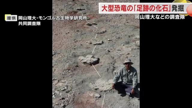 恐竜研究の発展につながる発見…岡山理科大学が大型恐竜の足跡の化石発掘【岡山】