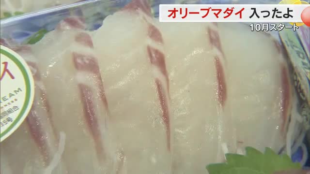 コラーゲン含有量は一般的なマダイの１．４倍！歯ごたえのよい秋の味覚「オリーブマダイ」販売開始【香川】