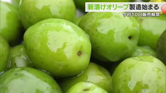 ２４年は生育順調！小豆島の秋の味覚・新漬けオリーブの製造始まる　１０日に販売解禁【香川・小豆島町】