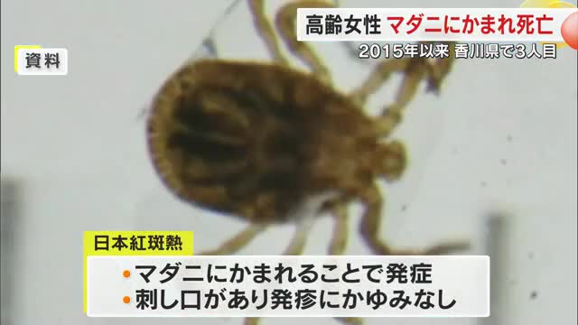 香川県小豆地区在住の７０代女性がマダニにかまれ「日本紅斑熱」を発症し死亡　県内では２０１５年以来