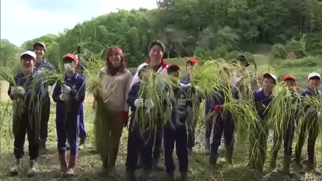 歌手の相川七瀬さん（総社赤米大使）と子供たちが収穫…総社市の神社で赤米の稲刈り【岡山】