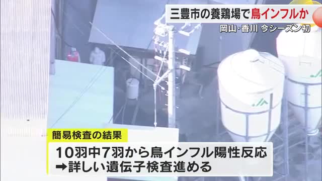 三豊市の養鶏場で鳥インフルエンザの疑い　１０羽中７羽陽性…発生確認の場合約７万羽殺処分【香川】