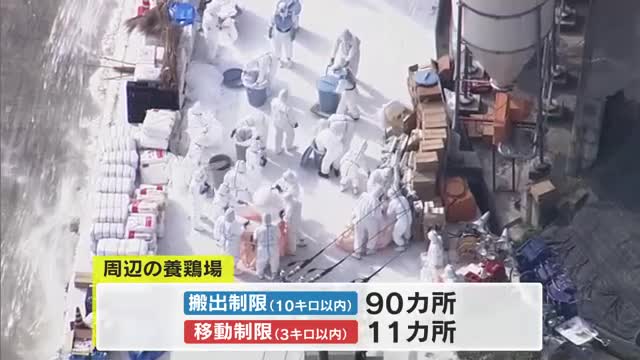 高い病原性「鳥インフルエンザ」三豊市の養鶏場で確認　県が約７万羽の殺処分【香川】