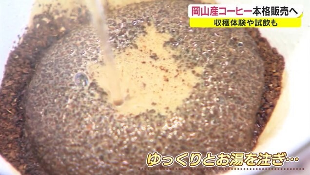 岡山産コーヒー08