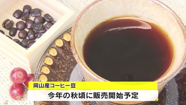 岡山産コーヒー13