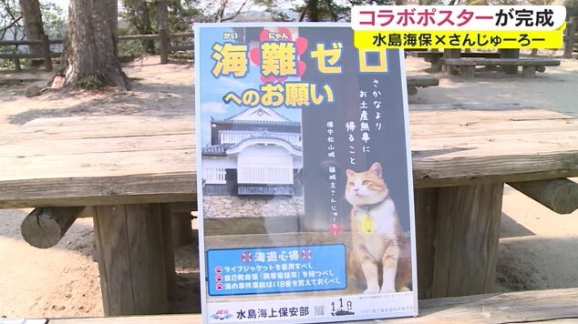 猫城主02