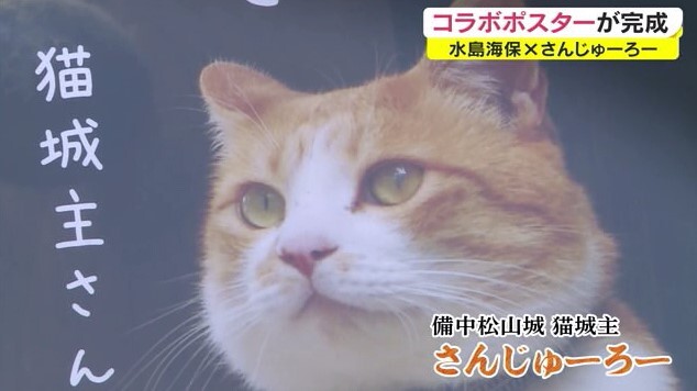 猫城主03