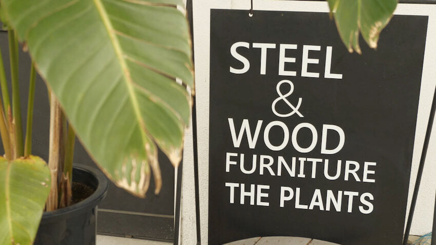 人気急上昇中！育てると価値が上がる観葉植物とは？…STEEL & WOOD FURNITURE（金バク！2023年 2月3日OA）