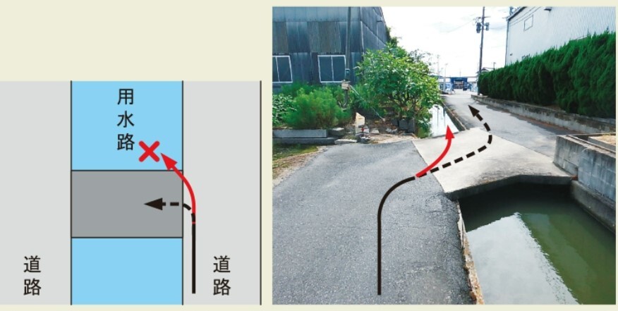 シンソウ　用水路11