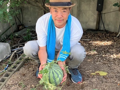 畑に埋めたスイカの皮にたまたま付いていた種から実がゴロゴロ・・・