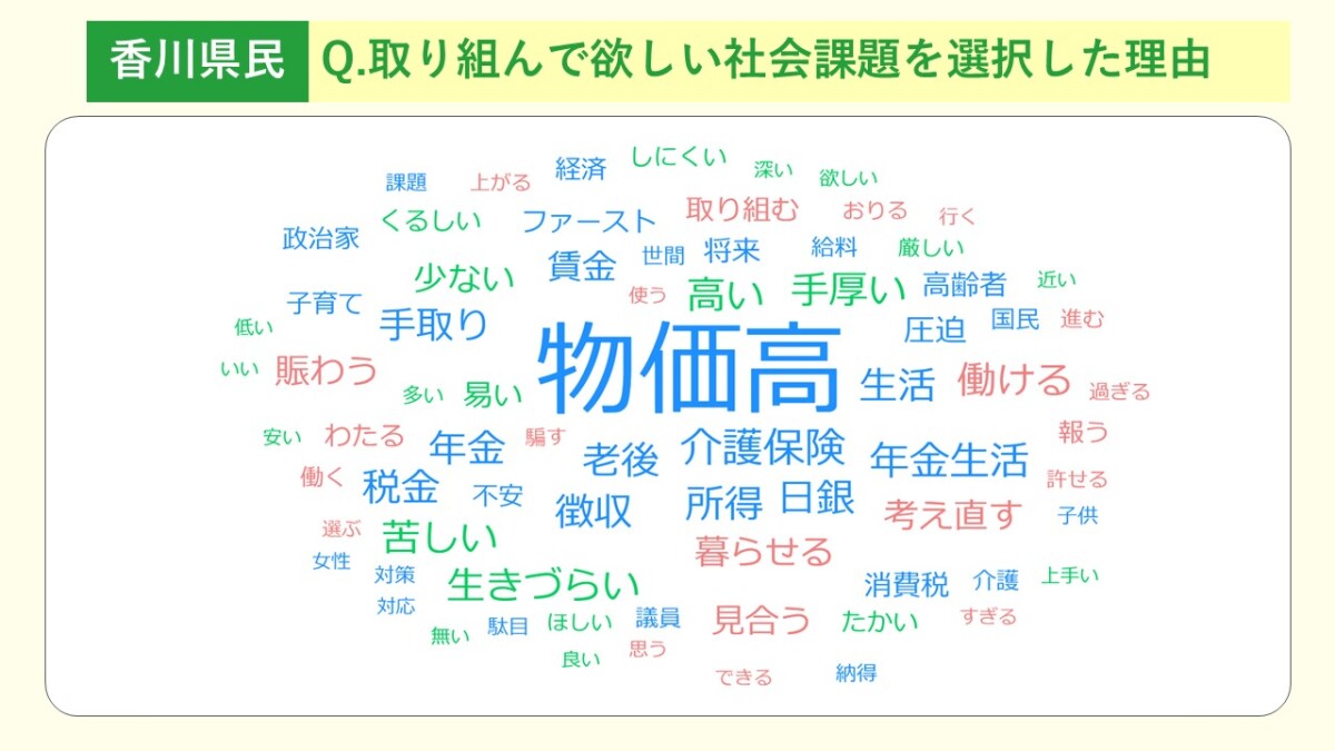 香川県　社会課題理由