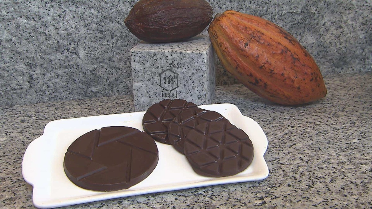 カカオ専門店！純度の高いチョコレートを楽しめる … 石挽カカオissai（金バク！2020年7月31日OA）